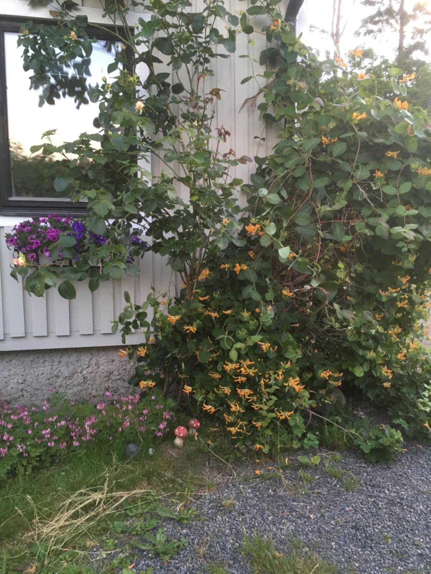 AirbnbEkåsberg Olofstorp Eksteriør billede
